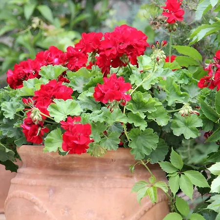 Porto Katsiki * Athánion