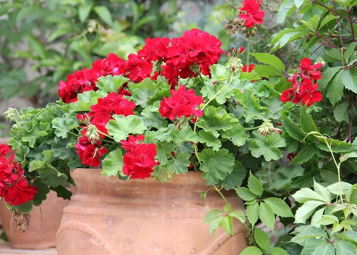 Porto Katsiki * Αθάνι